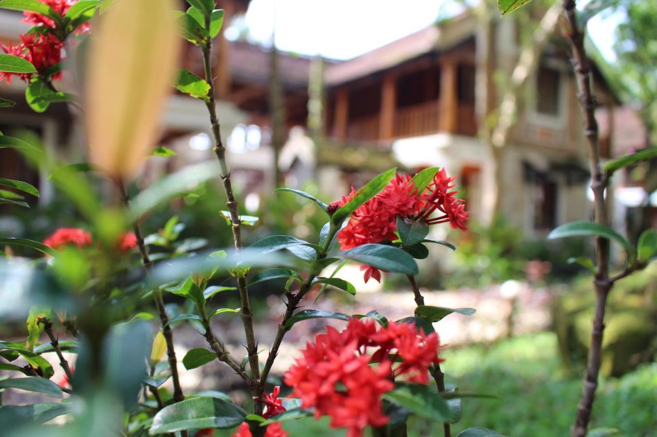 Ancient Village Phu Quoc Resort المظهر الخارجي الصورة