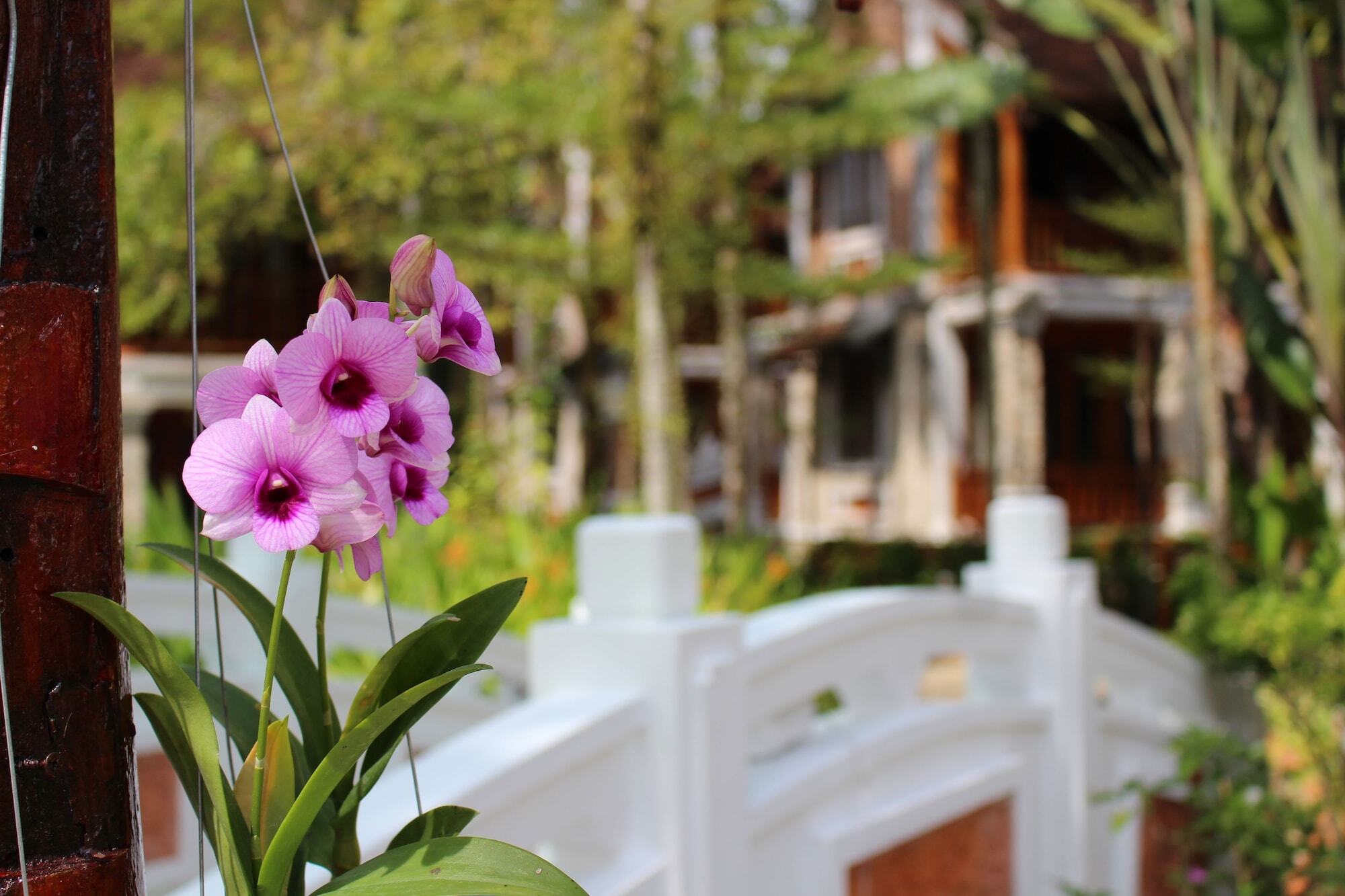 Ancient Village Phu Quoc Resort المظهر الخارجي الصورة